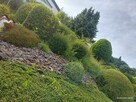 Usługi ogrodnicze na terenie Chełma i poza chełmem - 9