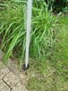 Naprawa nawadniania - 3
