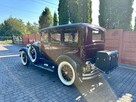 Studebaker Dictator 1928 rok PERFEKT - 3