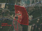 Janowice gm. Sompolno - Urokliwe siedlisko 7,31 ha