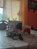 Sprzedam Xbox