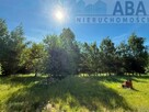 Janowice gm. Sompolno - Urokliwe siedlisko 7,31 ha - 12