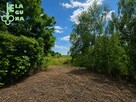 Dom Łęki Kościelne gm. Krzyżanów, Główna Osiedla - 11