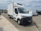 Renault Master CHŁODNIA / KONTENER / IZOTERMA / CARRIER / BEZWYPADKOWY - 5