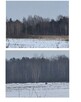 Nieruchomość w miejscowości Aleksandrów Pierwszy - 3