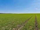 Działka budowlana Jordanów Śląski, - 2