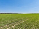 Działka budowlana Jordanów Śląski, - 6