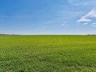 Działka budowlana Jordanów Śląski, - 7