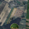 Działka rolna | Sprzedaż | 3,2 ha | Wola Pawłowska - 3