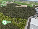 Działka rolna Julianów gm. Krzyżanów - 7
