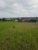 Sprzedam działki budowlane na osiedlu DALKI - GNIEZNO ! - 8