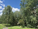 Zamienię 2 pokojowe mieszkanie własnościowe - 7