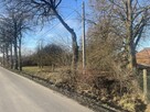 Działka budowlana z pięknym starodrzewiem Elżbietów - 6