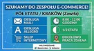 Pracownik ds. obsługi sklepu internetowego i Allegro