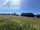 Działka rolna Bugi gm. Lidzbark Warmiński - 2