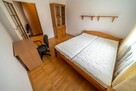 4 oddzielne pokoje, balkon, pet friendly,Ułanów 15 - 3