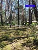 Działka 1402 m2 Narew, las, MPZP gm. Różan. - 2
