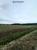 Działka przemysłowa Sobin gm. Polkowice, Myśliwska - 2