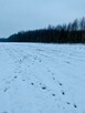 Działka budowlana Wola Rzędzińska gm. Tarnów