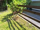 Działka ROD z przyczepą nad morzem. Koszalin - 11
