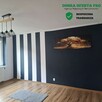 2 pokoje z ogródkiem i dużą piwnicą - 9