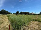 Zgrabna działka pod dom 7 ar Gaszowice Rybnik - 2