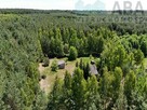 Janowice gm. Sompolno - Urokliwe siedlisko 7,31 ha - 14