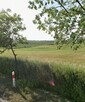 Działka rolna 2,77 ha nad rzeką – Gawliki Wielkie | Świetna - 2