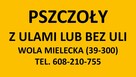Pszczoły, ule, odkłady