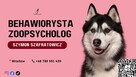 Behawiorysta psów i kotów