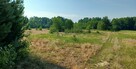 Działka budowlana Rozalin - 2