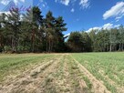 Siedlisko zatopione w zieleni drzew i 12 ha ziemi - 16
