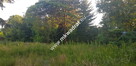 ⭐⭐⭐⭐  Blisko WKD  na dom 2 lokal Media 1600m2 ⭐⭐⭐⭐ - 4