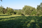 Działki budowlane od 10a -12a w Tyczynie - 4