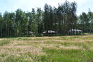 Działki 10a pod zabudowę pod lasem- Widełka - 7