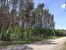 Krzyżówka_urokliwa działka z potencjałem ! - 2