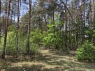 Krzyżówka_urokliwa działka z potencjałem ! - 9