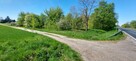 Działka inwestycyjna Wola Koszucka-Parcele gm. Słupca - 6