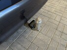 BMW 318 VAT 23% d Touring 2.0 mHEV 150KM automat 2021 r., salon PL, I wł HAK - 12