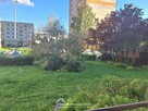 2 pokoje z balkonem, parter, ul. Lechonia - 10
