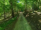 Działka budowlana Ostróda Międzylesie - 13