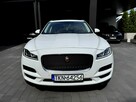 Biały Jaguar Salon Polska - 5