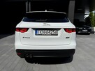 Biały Jaguar Salon Polska - 6