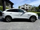 Biały Jaguar Salon Polska - 7