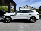 Biały Jaguar Salon Polska - 8