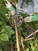 Sprzedam esika - 5