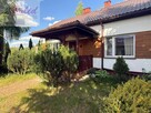 Siedlisko zatopione w zieleni drzew i 12 ha ziemi - 5