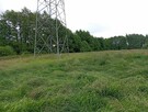 Sprzedam działkę rolną - 3