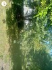 Sprzedam działkę w centrum Pruchnika - 6