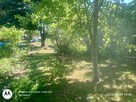Sprzedam działkę w centrum Pruchnika - 2